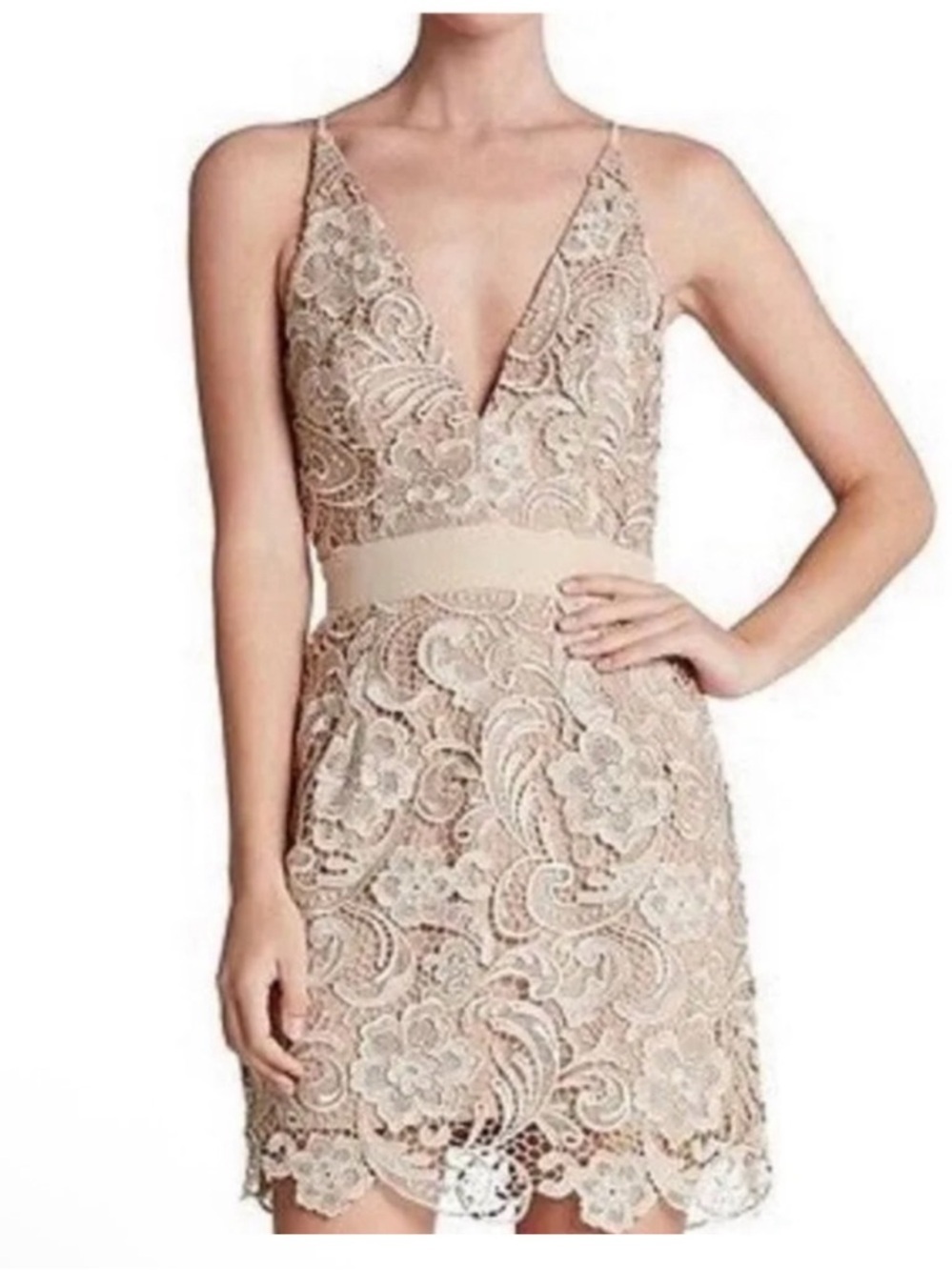 DRESS THE POPULATION V-Neck Lace Mini Dress in NEUTRAL TONES! Gorgeous! M